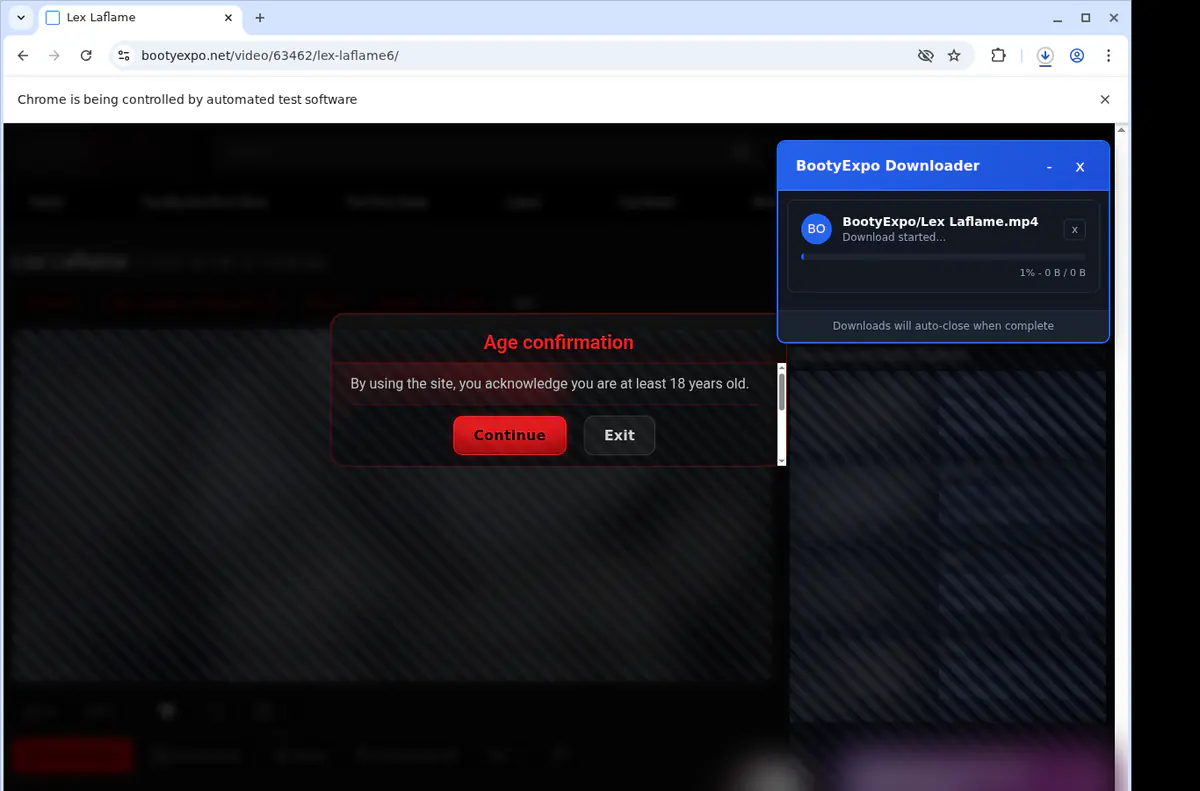Bootyexpo Video Downloader screenshot 3