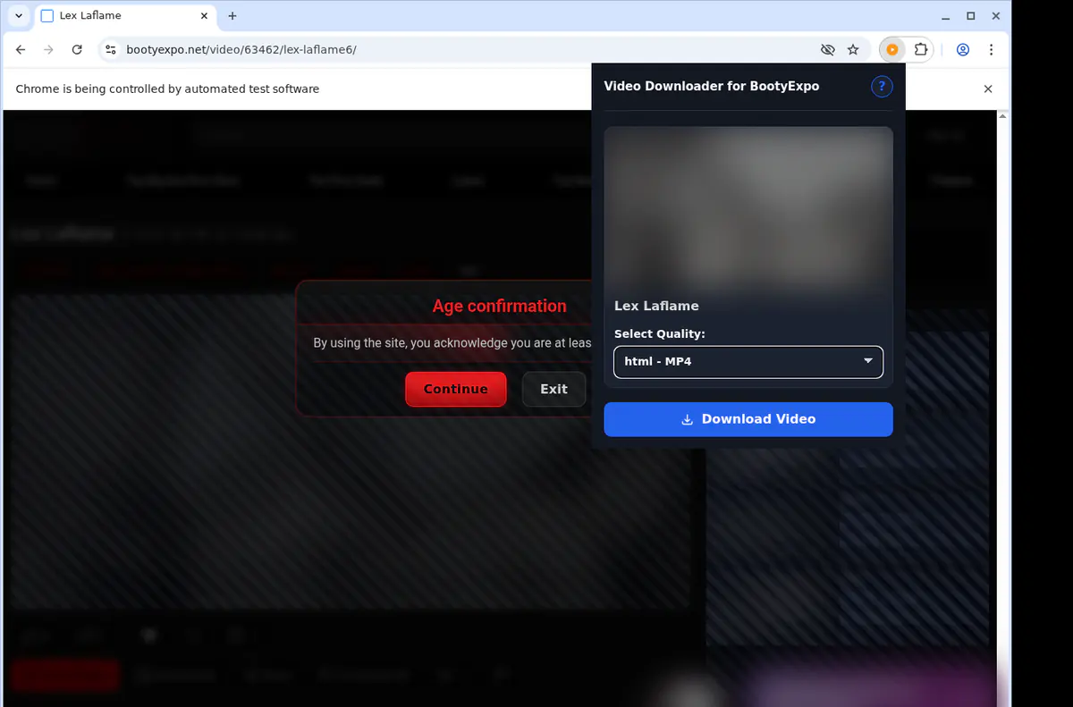 Bootyexpo Video Downloader screenshot 4